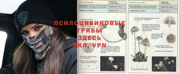 соль ск Верея